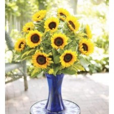 One Dozen Sunflower in a Vase